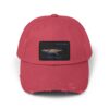 Red baseball cap with a small rectangular patch showing a bird.