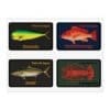Four images of different fish species labeled with their names.