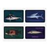 Four illustrated fish species cards with names and images.
