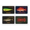 Four fish species with their names and fishing seasons displayed on cards.