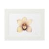 A framed artwork of a delicate orchid flower with soft yellow and brown tones.