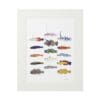 Illustration of various colorful fish species arranged in rows.