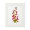 Framed botanical print of pink foxglove flowers with green leaves.