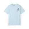 Light blue Patagonia t-shirt with logo on chest.