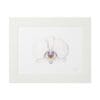 Delicate white orchid illustration in a simple white frame.
