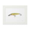Illustration of a green and yellow fishing lure with hooks.