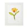 A framed watercolor painting of a yellow and orange flower with green leaves.
