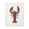 Framed illustration of a red lobster on white background.