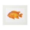A vibrant orange fish illustration framed in white.