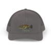 Gray baseball cap with a colorful logo on the front.