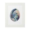 Artistic print of an abalone shell in a white frame.