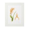 Framed botanical illustration of a flowering plant with green leaves and orange blooms.