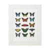 Framed art print of twelve colorful butterflies arranged in a grid.