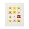 Framed artwork featuring twelve colorful starfish illustrations arranged in a grid.