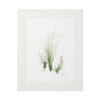 Minimalist botanical artwork with delicate grass and fern on white background.