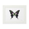 Framed artwork of a black butterfly with green and purple accents.