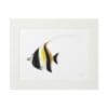 Framed artwork of a Moorish idol fish with white, yellow, and black colors.