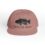 Brown cap with an alligator graphic and 