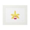 Illustration of a yellow orchid with red accents in a white frame.
