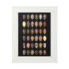 Framed art featuring multiple oval-shaped portraits on a dark background.