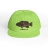 Green cap with a largemouth bass embroidered on front.