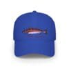 Blue baseball cap with a fish design on the front.