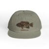 Gray cap with a detailed fish graphic and CASAULA text.