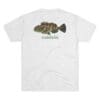 White t-shirt with a colorful fish graphic and 